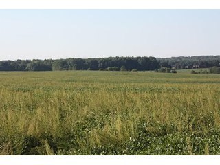Property photo 49 - ILLINOIS LAND AUCTION - 705+/- ACRES OFFERED IN 16 TRACTS IN EDWARDS COUNTY, ILLINOIS